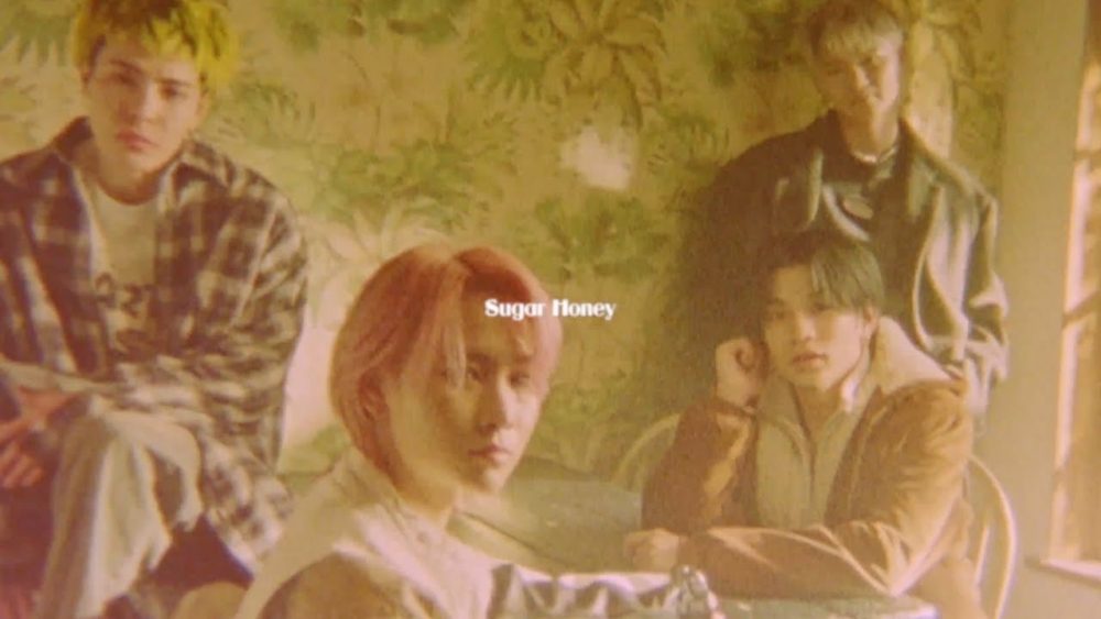 WOLF HOWL HARMONY「Sugar Honey」